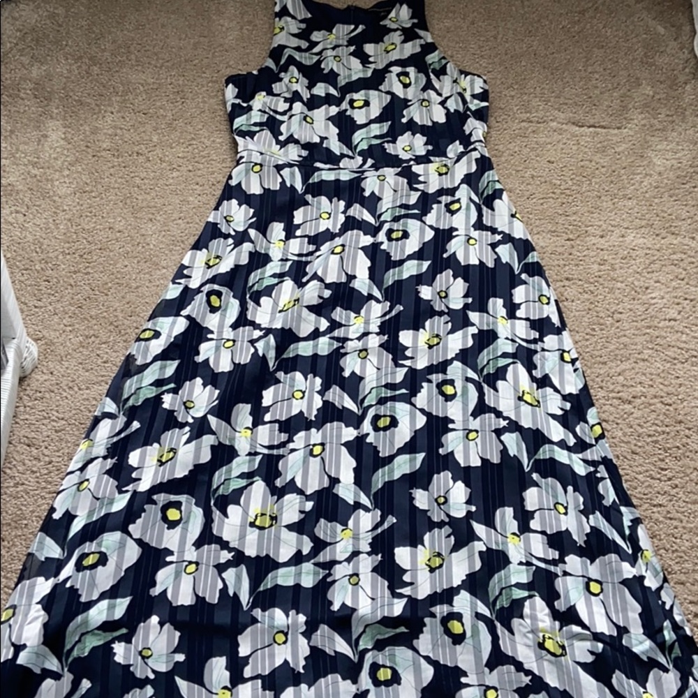 Gorgeous Banana Republic maxi dress
